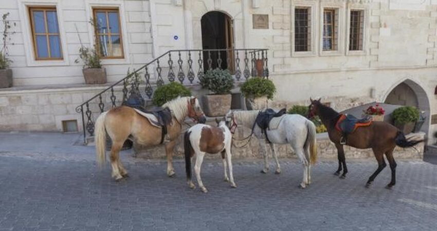 Exedra Hotel Cappadocia