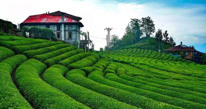 Karadeniz Rüyası ve Batum Turu